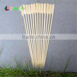 Healthy Barbecue Skewers