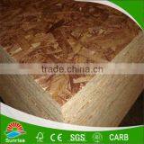 China Oriented Strand Board thumbnail-3