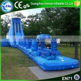 2016 New Point China Cheap Big Wet Inflatable Slide With Pool for Children and Adult Quality Choice thumbnail-5