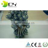 Top Selling Strawhat DC5v 9MM Single Color Pixel Led String L Ight