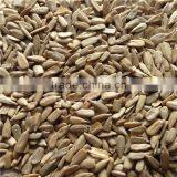 2015 New Crop Confectionary Sunflower Kernels thumbnail-3