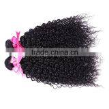 Brazilian Human Virgin Kinky Hairpiece Manufacturer Curly Wave Wholesale thumbnail-6