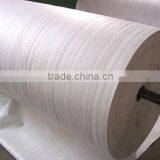 Polyester Mat Spunbond Polyester Mat