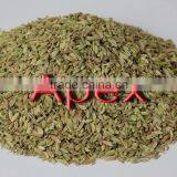 Apex Supplies Quality Foeniculum Vulgare Fennel / Foeniculum Vulgare / Fennel Seeds / Saunf thumbnail-3