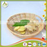 Professional Ginger Supplier Fresh Old Ginger thumbnail-2