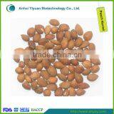 Peach Kernel/Peach Seeds thumbnail-1
