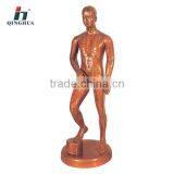 Human Acupuncture Model