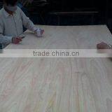 Packing Grade Laminated 18mm Eucalyptus Plywood thumbnail-3