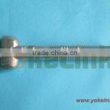 304 SS T Head Bolt /stainless Steel T Bolt thumbnail-3