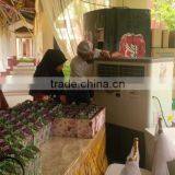 OUBER Air Cooler Good Quality Movable Desert Cooler Evaporativo Air Conditioner thumbnail-4