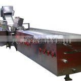 Teemyeah TW-506L Efficient Continuously Vegetable Washing Machine Leafy Vegetable Cleaning Machine thumbnail-3