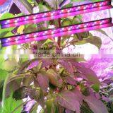 Mars-Hydro Led Grow Light Ballast Transformer for 1000 Watt Hps Grow Light Bar thumbnail-1