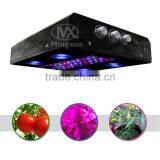 600W Noah4 Full Spectrum Indoor Plant Cob Led Grow Light thumbnail-2