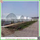 High Quality 9.6m Multi-span Commerical Plastic Greenhouses for Agriculture thumbnail-5