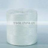 Tomato Twine for Florida Weave Cultivation thumbnail-4