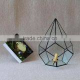 Glass Vases Terrarium Ornament Indoor Plant Greenhouse Handblown Glass Terrarium thumbnail-1