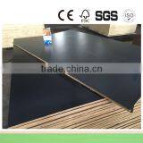 AS 6669 F17 Formply 1200*2400*17mm thumbnail-4