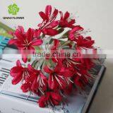 Promotion Single Artificial Canna Flower Decorative Canna Flower Silk Flower Decoration Flower thumbnail-6