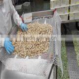 Frozen Vacuumed Short Necked Clam Cheap Pirce For Sale thumbnail-3