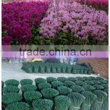 Nursery Tool Bamboo Products thumbnail-1