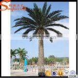 High Quality Outdoor Decoration Artificial Date Plam Tree thumbnail-5
