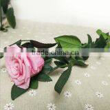 Fresh Preserved Rose Flower Immortal Colorful Dried Roses for Girl Valentine's Day Wedding Gifts thumbnail-1
