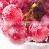 Quality and Fresh Chinese Grapes thumbnail-1