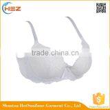 HSZ-58048 Latest Fashion Underwear Lady Custom Lingerie With Lace Very Sexy Push Up Bra thumbnail-6