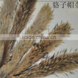 BBG-H-14 Factory Direct Wholesale Price Raccoon Fur Trimming for Hood thumbnail-1