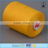 Wholesale 60s/2 100% Polyester Dyed Embroidery Thread for Leather Shoes thumbnail-4