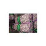 5cm China Normal White Garlic thumbnail-1