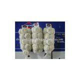 Fresh Chinese Garlic(5.5cm) thumbnail-2