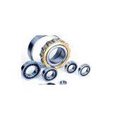 Supply NU202-E-TVP2 Cylindrical Roller Bearing
