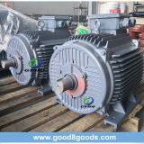 Y2 1HP/CV 0.75kw 2800rpm 50/60Hz Cast Iron Electric Motor