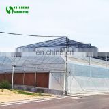 China Low Price Classic Commercial Plastic Film Greenhouse/Garden Greenhouse for sale