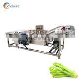 Industrial Salad Fruit Vegetable Washer Machine Apple Avocado Carrot Washer With Ozone Generator thumbnail-4