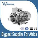 YLJ Series Torque Three Phase Electric Motor thumbnail-4