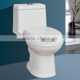 India styler one piece toilet/sanitary ware toilet/bathroom toiletWC toilet ZZ-o6618/
