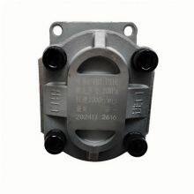 Hydraulic Gear Pump for FLAND FL 45 Wheel Loader thumbnail-5