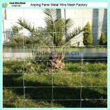 Factory Direct Sale Galvanized Field Fence Wire 8ft