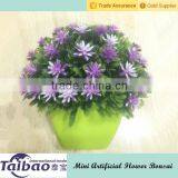Taibo Plastic Flower Bonsai for Office Table Decoration Bonsai thumbnail-1
