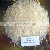 5%, 25% BROKEN LONG GRAIN White and Par Boiled RICE thumbnail-4