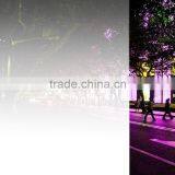 PET Release Film for Window Film thumbnail-6