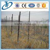 Manufacturer Direct Sale Best Quality Stainless Razor Wire Mesh thumbnail-6