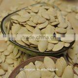 Shine Skin Pumpkin Seeeds thumbnail-3