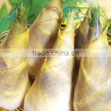 March Spring Season Food Canned Bamboo Shoot on Hot Sell thumbnail-3