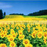 Inkjet Proofing Paper , 190gsm, Dye and Pigment Ink , RC Base