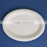 PL-10-E Oval 10 Inches Disposable Sugarcane Plates thumbnail-3
