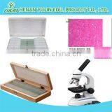 Hot Sale Indonesia Student Biological Educational Testing Slides Set thumbnail-3