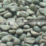 Arabica Coffee Bean thumbnail-1